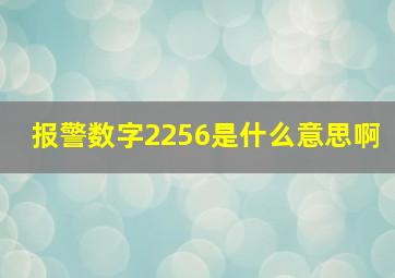 报警数字2256是什么意思啊