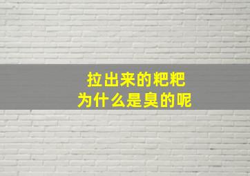 拉出来的粑粑为什么是臭的呢