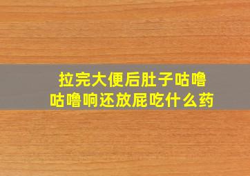 拉完大便后肚子咕噜咕噜响还放屁吃什么药