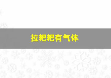 拉粑粑有气体