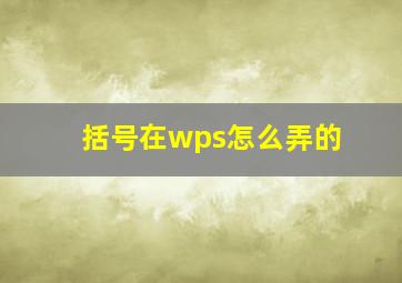 括号在wps怎么弄的