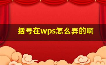 括号在wps怎么弄的啊