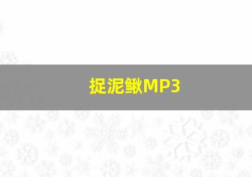 捉泥鳅MP3