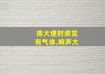 排大便时感觉有气体,响声大