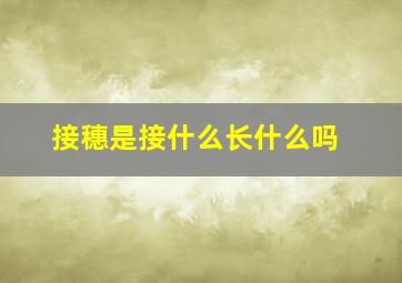 接穗是接什么长什么吗