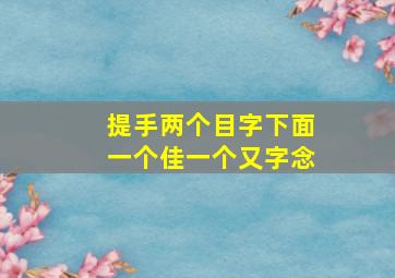 提手两个目字下面一个佳一个又字念