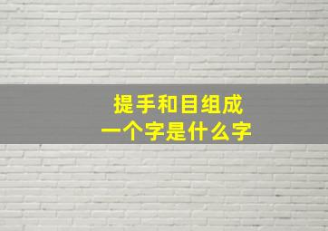 提手和目组成一个字是什么字