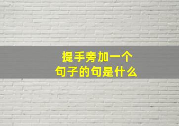 提手旁加一个句子的句是什么