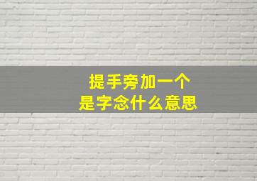 提手旁加一个是字念什么意思