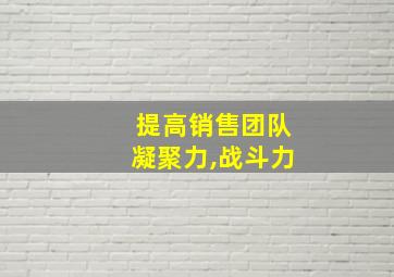 提高销售团队凝聚力,战斗力