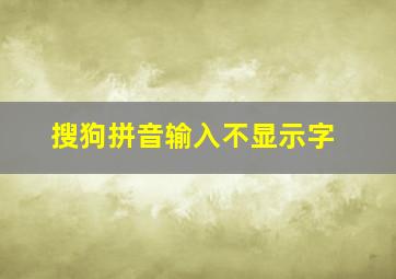 搜狗拼音输入不显示字