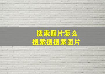 搜索图片怎么搜索搜搜索图片