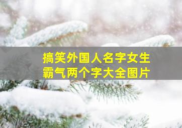 搞笑外国人名字女生霸气两个字大全图片