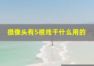 摄像头有5根线干什么用的