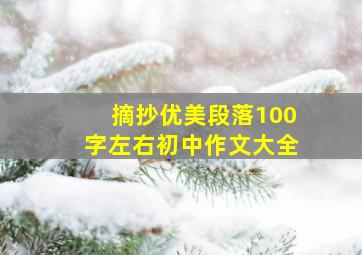 摘抄优美段落100字左右初中作文大全