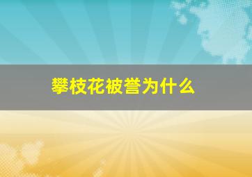 攀枝花被誉为什么