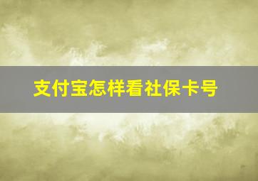 支付宝怎样看社保卡号