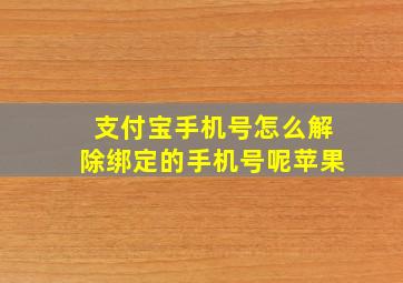 支付宝手机号怎么解除绑定的手机号呢苹果