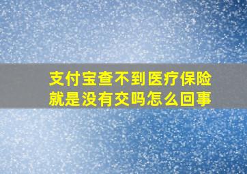 支付宝查不到医疗保险就是没有交吗怎么回事