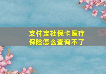 支付宝社保卡医疗保险怎么查询不了