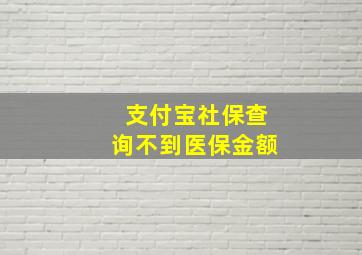 支付宝社保查询不到医保金额