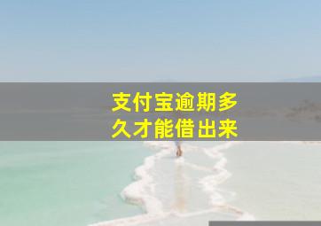 支付宝逾期多久才能借出来