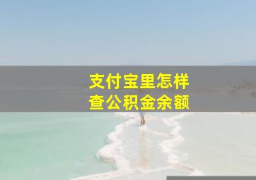 支付宝里怎样查公积金余额