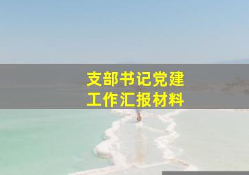 支部书记党建工作汇报材料