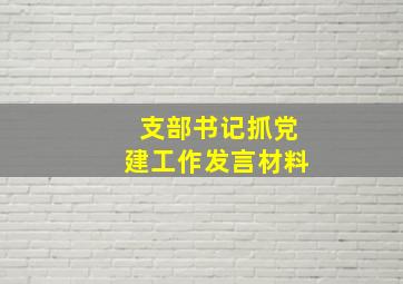 支部书记抓党建工作发言材料