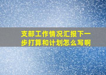 支部工作情况汇报下一步打算和计划怎么写啊