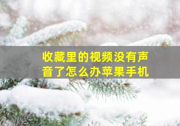 收藏里的视频没有声音了怎么办苹果手机