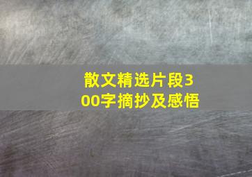 散文精选片段300字摘抄及感悟