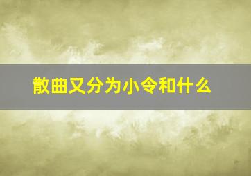 散曲又分为小令和什么