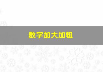 数字加大加粗