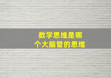 数学思维是哪个大脑管的思维