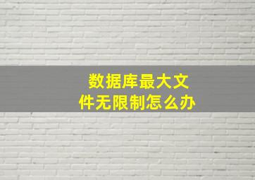 数据库最大文件无限制怎么办