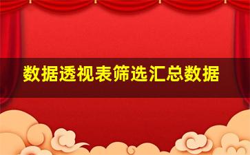 数据透视表筛选汇总数据