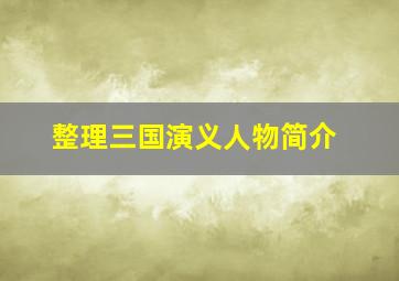 整理三国演义人物简介