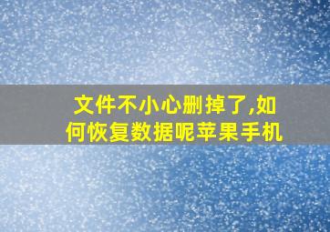 文件不小心删掉了,如何恢复数据呢苹果手机