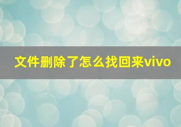 文件删除了怎么找回来vivo