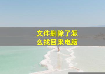 文件删除了怎么找回来电脑