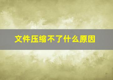 文件压缩不了什么原因