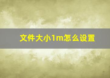 文件大小1m怎么设置