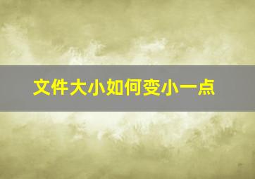 文件大小如何变小一点