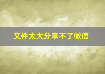 文件太大分享不了微信