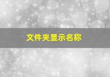 文件夹显示名称