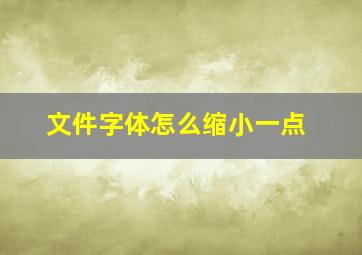 文件字体怎么缩小一点