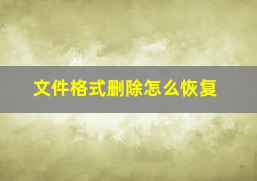 文件格式删除怎么恢复