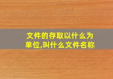 文件的存取以什么为单位,叫什么文件名称