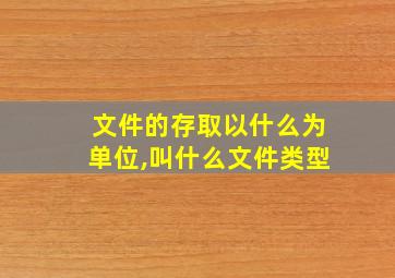 文件的存取以什么为单位,叫什么文件类型